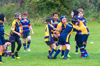 Rugby 010