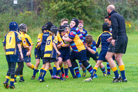 Rugby 011