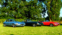 e type 007