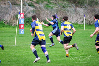 Rugby 012